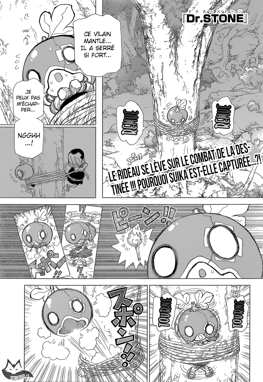 Dr. Stone: Chapter 35 - Page 1